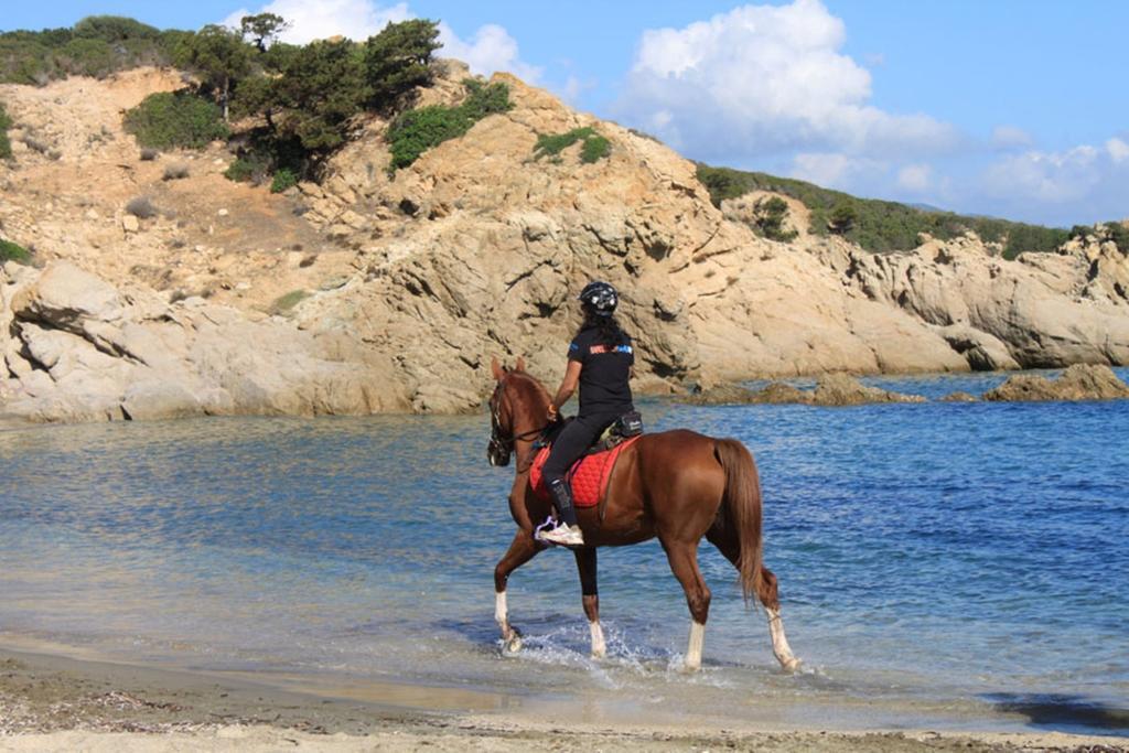 منزل الضيف San Priamo  في Agriturismo Sarrabus المظهر الخارجي الصورة