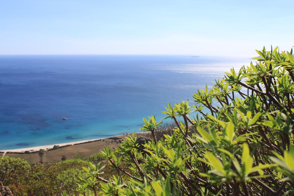 منزل الضيف San Priamo  في Agriturismo Sarrabus المظهر الخارجي الصورة